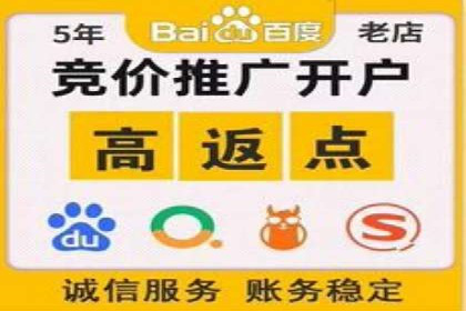 百度竞价排名：企业营销新利器案例分析